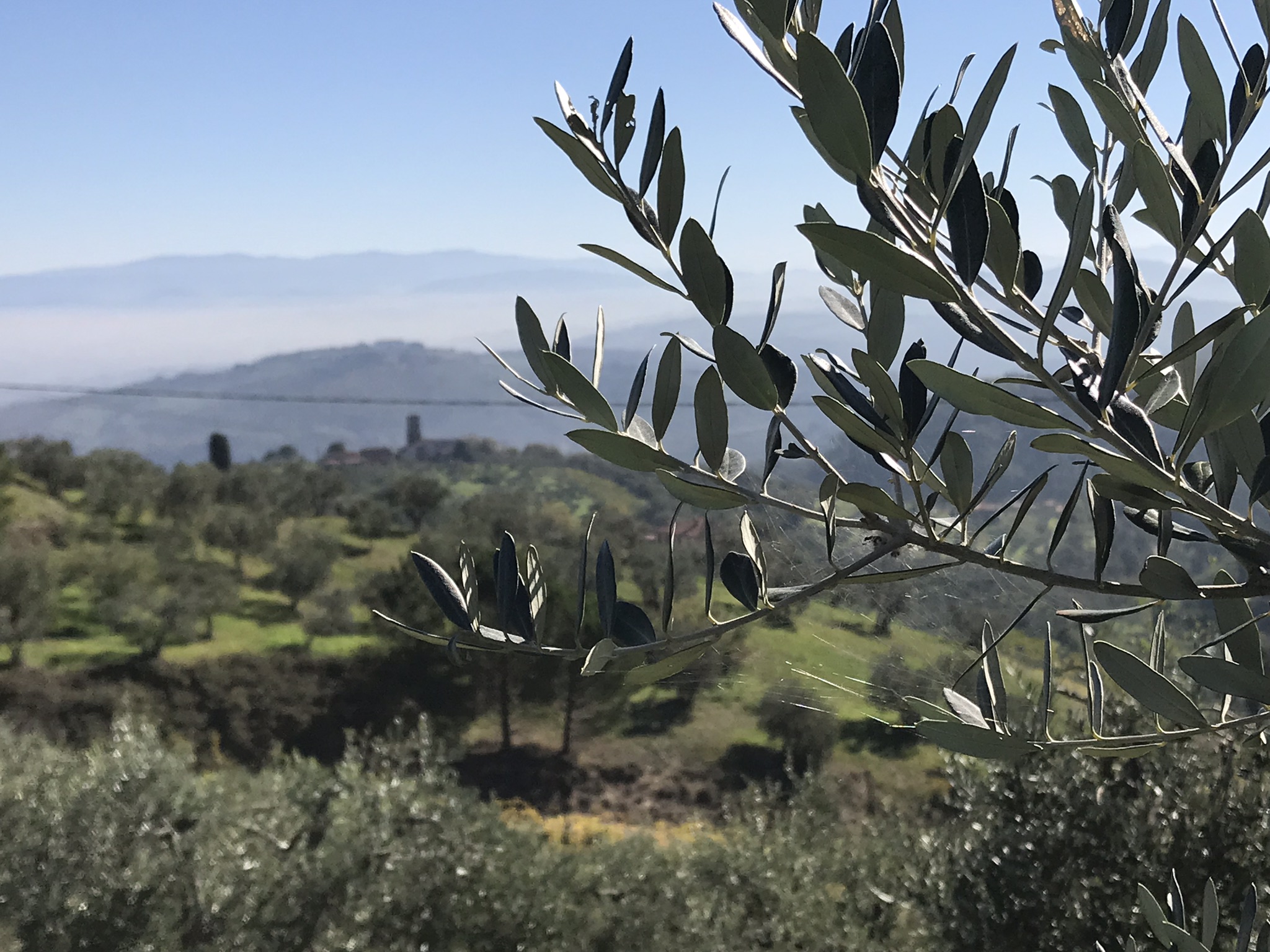 FLORENCE AND A BITE OF TUSCANY